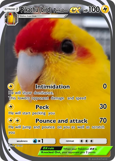 Pikachu (bird) - 1greeny2