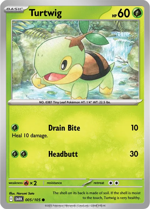 Turtwig