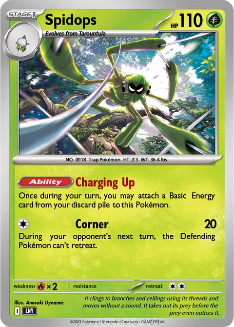 Spidops