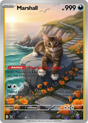 Marshall - Mallery PokeCardMaker