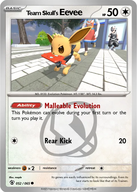 ==Team Skull's ==Eevee