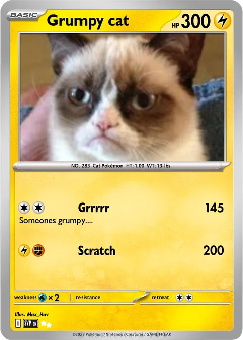 Grumpy cat