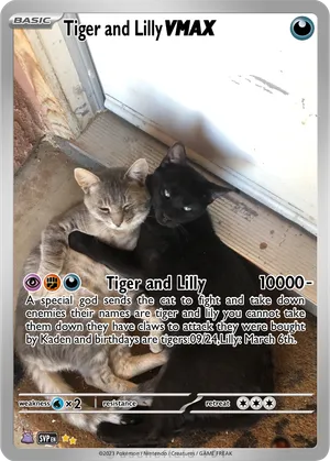 Tiger and Lilly**__VMAX__** - TigerandLilly | PokeCardMaker.net