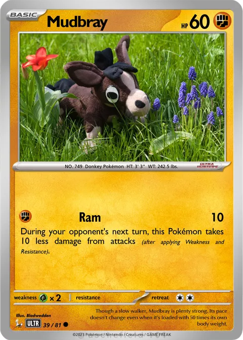 Mudbray
