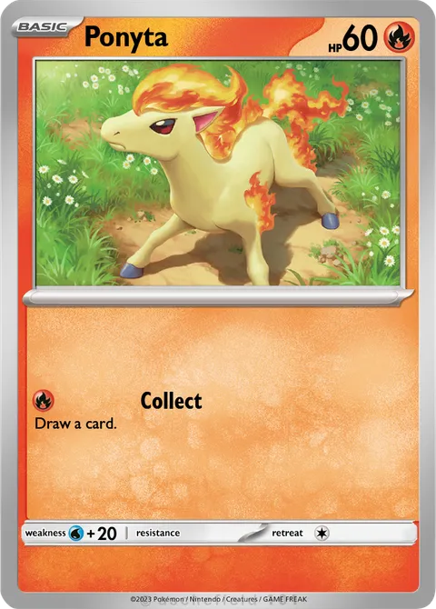 Ponyta