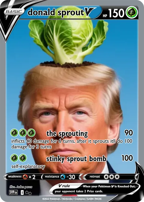 donald sprout