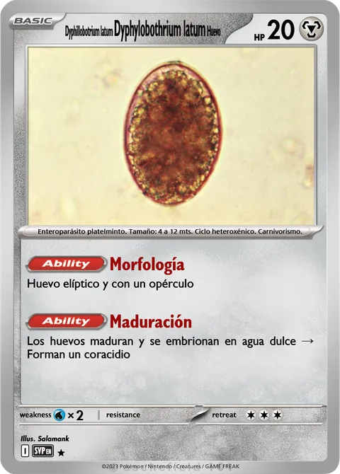 Dyphylobothrium latum