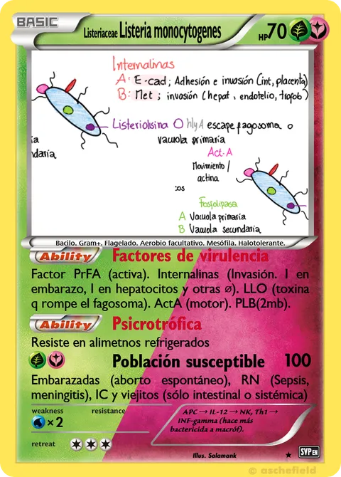 Listeria monocytogenes