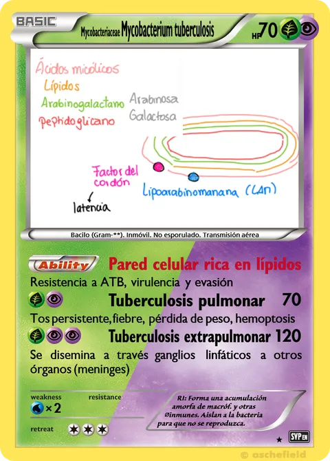Mycobacterium tuberculosis