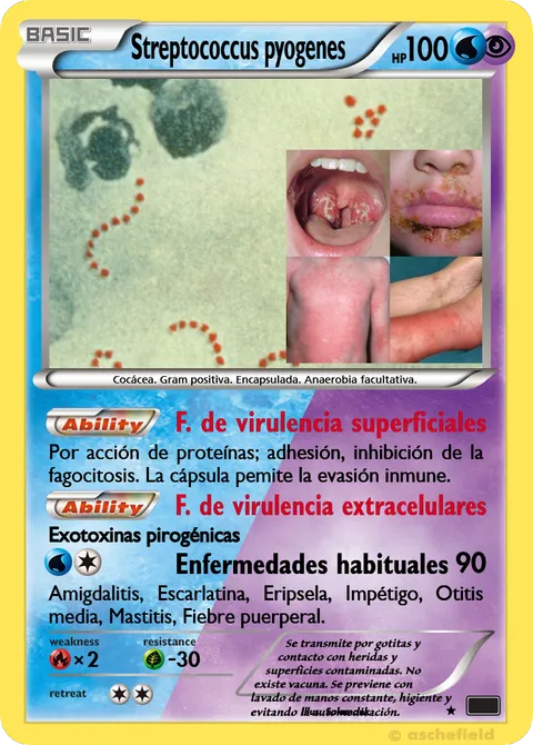 Streptococcus pyogenes