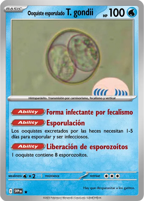 T. gondii