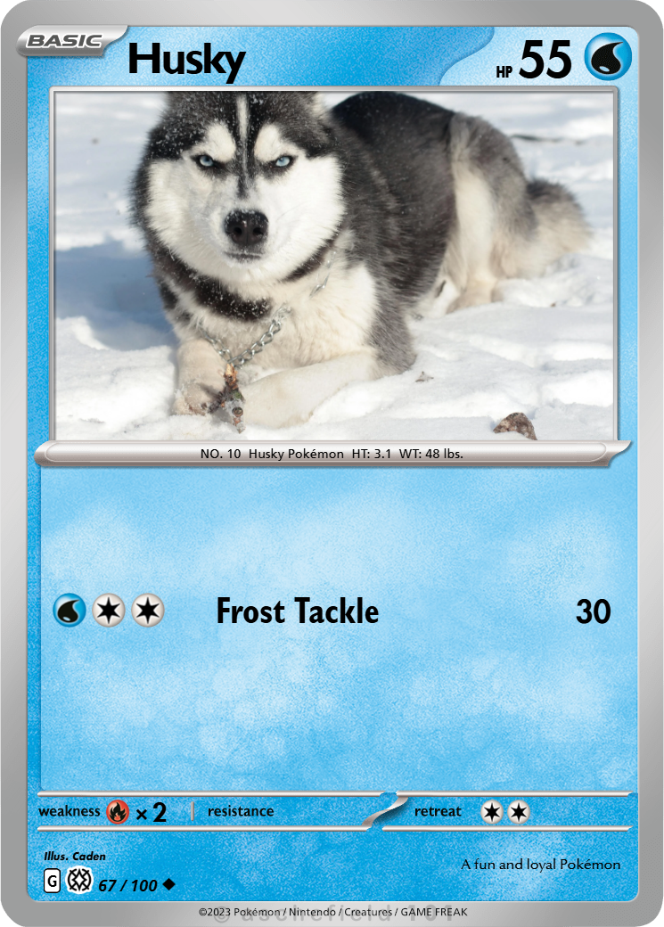 Husky - pokemasterdk