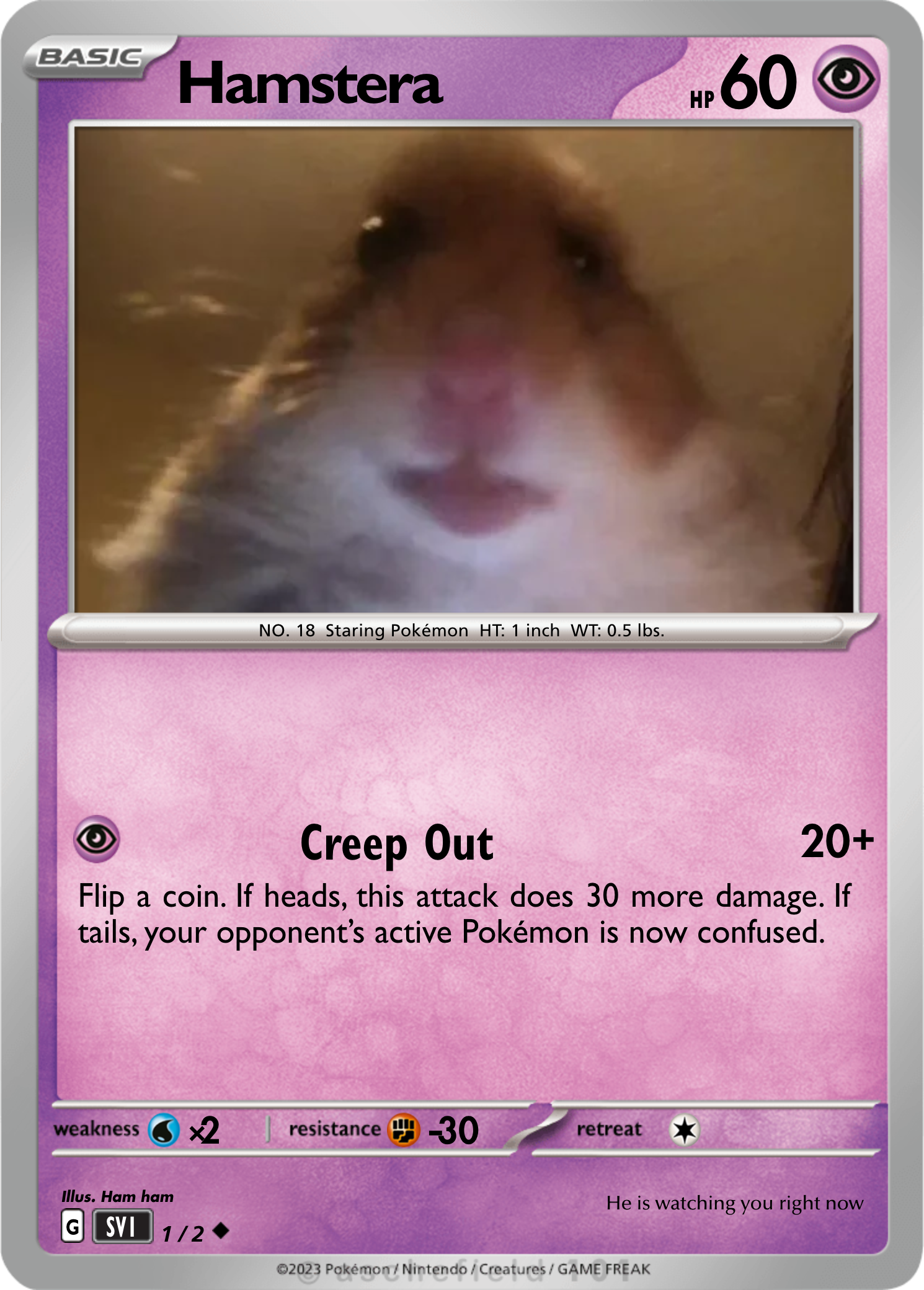hamster pokemon card Hamsters Poke Hamstera - Bruhbruhbruh