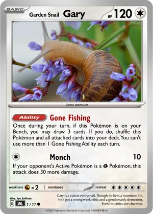 gary pokemon card Pokemon Gary Full Art Card by ThePinkGuy5 on DeviantArt
