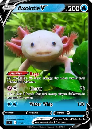 axolotl pokemon card She pulled two axolotl Pokmon cards and she has a real one at home!, Did you know axolotls possess a functional, yet specialized, hearing system? Lacking external ears, they rely on sensing water