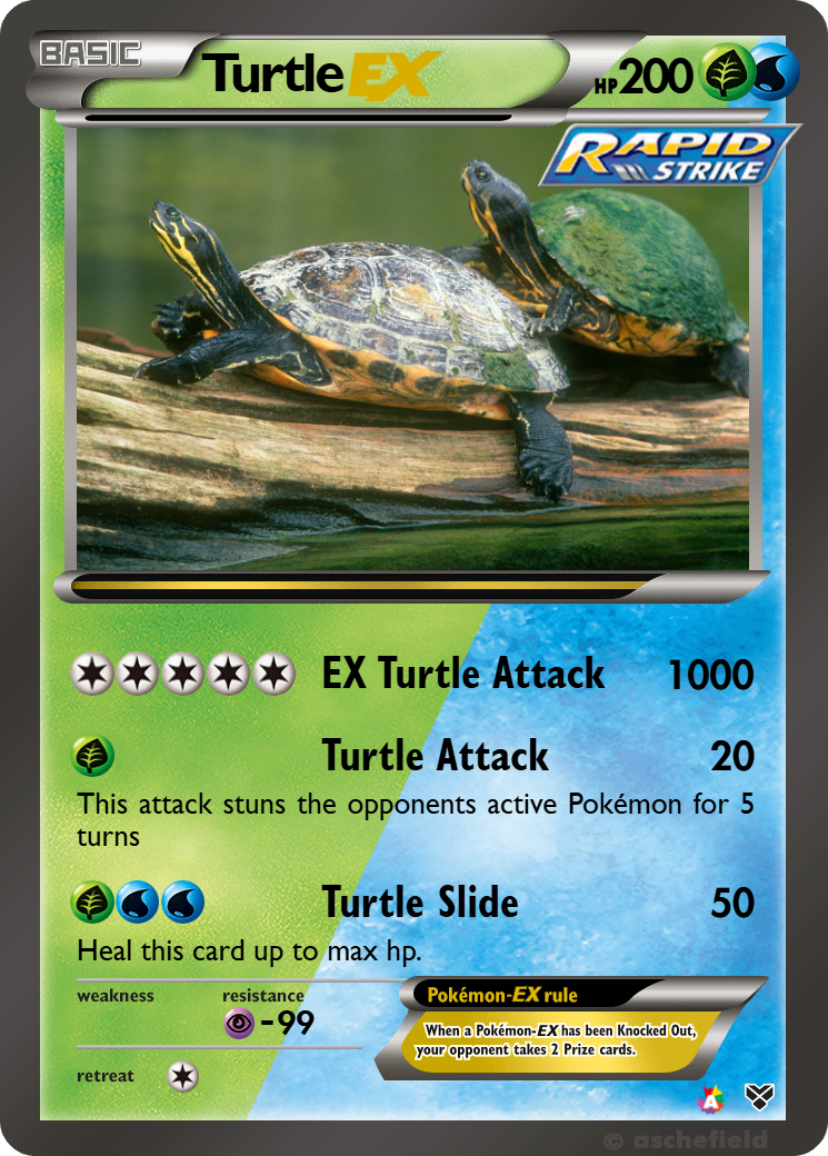 Turtle - TurtleMaster191411