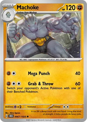 Machchoke Machoke - hongze