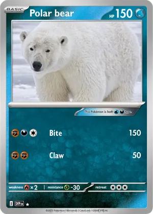 polar bear pokemon card Pokemon polar bears