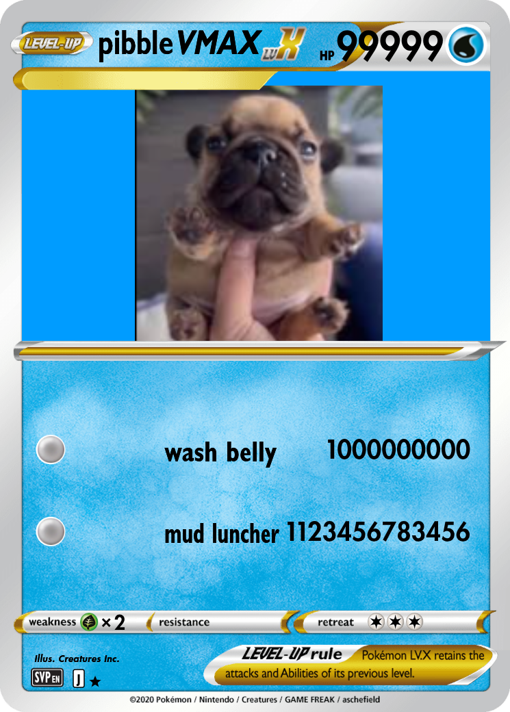 pug pokemon card Personalized Poke Portriat Card, Custom Funny Print with Your Photos and Text for Men Women Birthday Party Favors Letting the Pug show off