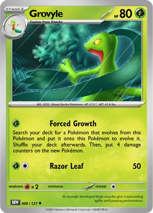 grovyle pokemon card value Grovyle Cards | Dex